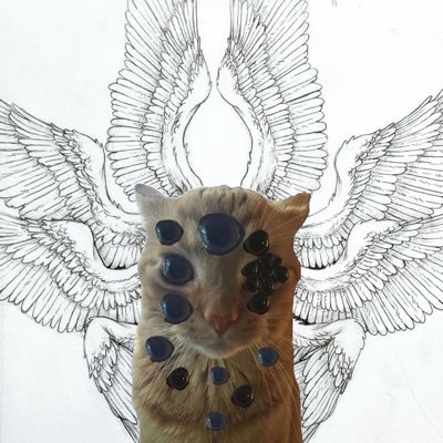 Complex56's profile picture. fwog is good. Collecting data on human behavior inside of Web3