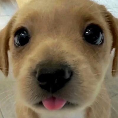 watermel0nluvrr's profile picture. i hate leftists rightists extremists pseudo feminists misogynists politicians