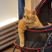 Edvin (@offhacki) 's Twitter Profile