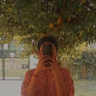 iamnotnightowl's profile picture. literature | history | taylor swift