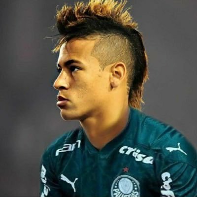 doraciotto_'s profile picture. @palmeiras