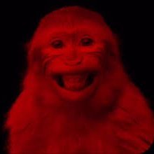 RennyYeti's profile picture. 24 | Freelance Artist | Minors DNI 18+ | 🚫AI | Biopunk Enthusiast | #rustednecrosis
🇨🇳
COMMISSIONS: Coming Soon

NSFW: @RennySloppy