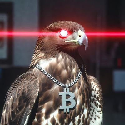 KryptoFalkeGER's profile picture. Bitcoin-Enthusiast mit Vogelperspektive