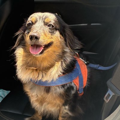 sarahlisb0a's profile picture. love is old, love is new, love is all, love is you.