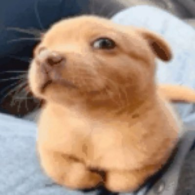 Snickerpd_'s profile picture. cosas picosas de vez en cuando🔞/ me hice un tuiter por presión social