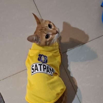 underground4124's profile picture. Love myself for life❤️
enjoying single era's edition, don't disturb please.