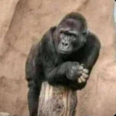 unclestephen01's profile picture. It happens....