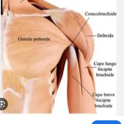 StableServant's profile picture. 