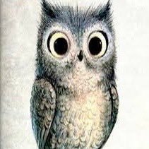 MenganaXXI's profile picture. 🇪🇸 MEGA  make Spain Great again, hagamos España grande otra vez