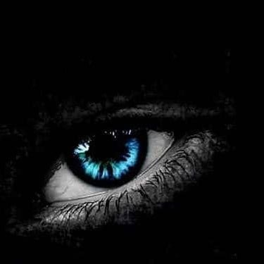 nasrc013's profile picture. tech nerd||medic||Research analyst||