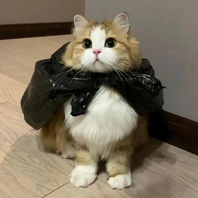 yrlvsL's profile picture. 日々を少しだけ特別に。