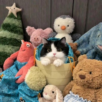 fhabFED's profile picture. 日本文化と旅が好きな自由人。旅が大好きで、私の足跡は……🇸🇪 🇨🇭 🇬🇷