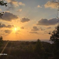 p.l (@amyrta15331) 's Twitter Profile