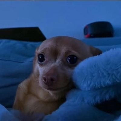 serokotsa_t's profile picture. 