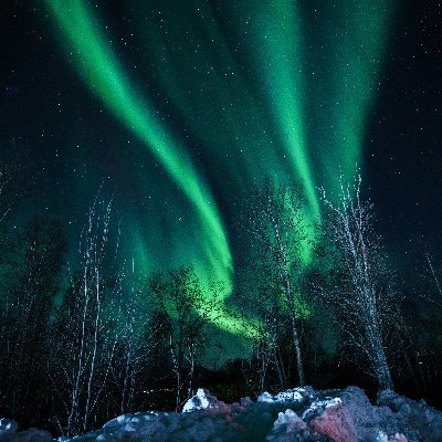 fitamio69566's profile picture. 