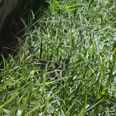 andrea7mejia's profile picture. 