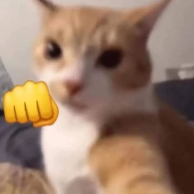 Edgar_Cotero's profile picture. 