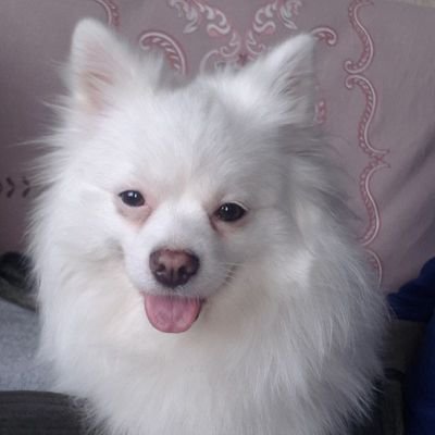 Tokenurebaku's profile picture. Architect,designer,
NFT creator