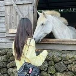 Vawva377's profile picture. 