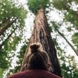 Twuxer195991's profile picture. 