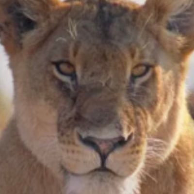 Guntua393047's profile picture. 