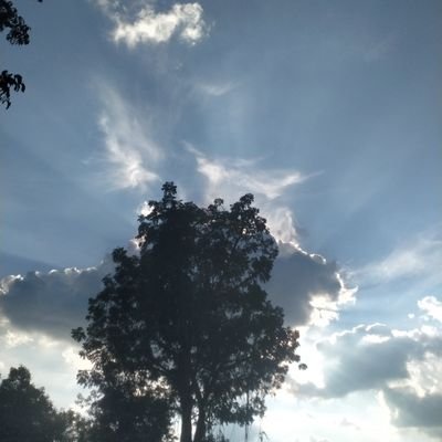 sudhlx578433's profile picture. ชอบหญิง ผมชายแท้อายุ19