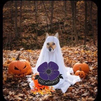 SuzyYoung24's profile picture. Dogs🐾&Suzy💁🏼‍♀️
#ZSHQ #OTLFP #RuffRiderz
#TheAviators 
👱‍♀️Retired Choreo💃🏼SpecialEvents👰Masters in Classics👩‍🎓
#SevereME #Fibro 🙏🇺🇦