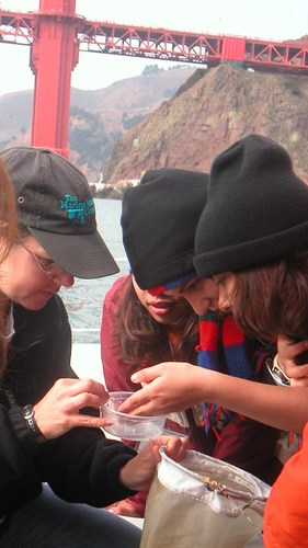 MSDP_TMMC's profile picture. Marine Science Discovery Program