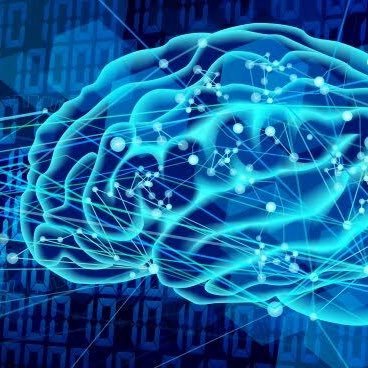 talbtekani's profile picture. 