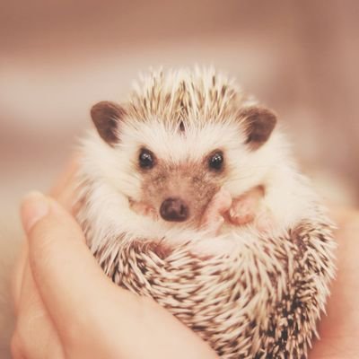 ta21796312's profile picture. 