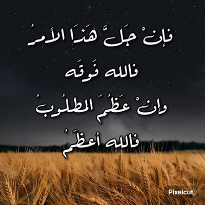 abomhmd1442's profile picture. 