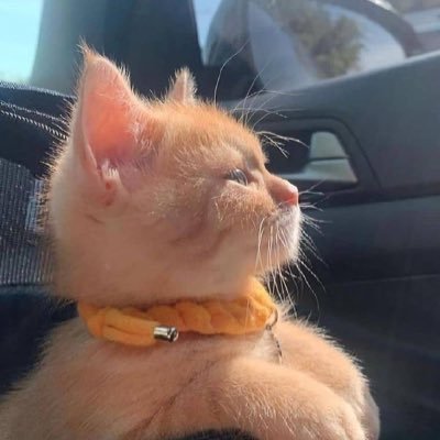 williambrownnn's profile picture. tired of fighting