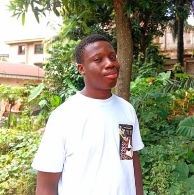 CollinsGod7521's profile picture. A Web 3 designer/ graphics designer and brand strategist