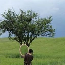 Mile905335's profile picture. 