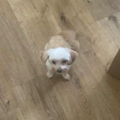 marbledhornets's profile picture. 23 . he/him . 03/28/24 💉