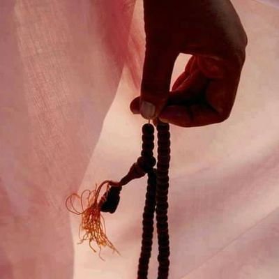 ZNshwan82909's profile picture. 