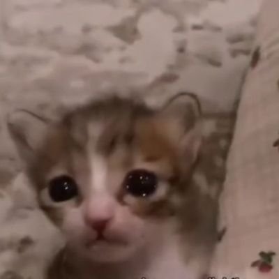 themuajsideofme's profile picture. 