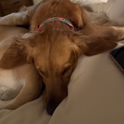 tatecole's profile picture. Big fan of golf, insurance, and anything Arkansas Razorbacks.