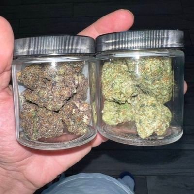 Vienna_drogsaa's profile picture. we sell we deliver 🍁❄️🍫💊text me on Snapchat 
https://t.co/hozuJhtWgW