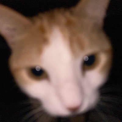 50xfrench's profile picture. 