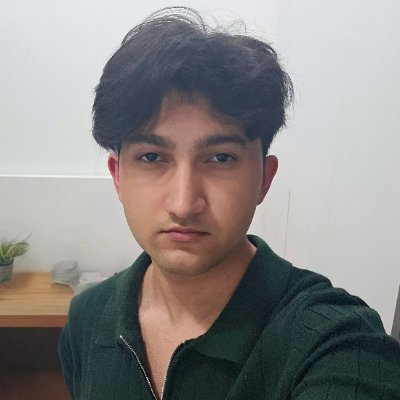 frstycodes's profile picture. Professional Bug Writer