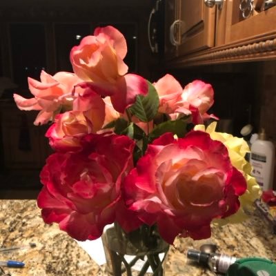 dotti_d21's profile picture. I am a patriot my ancestors have been here for over 275 yrs. At heart an Independent. Against radical political ideas that destroy our Republic and freedom.