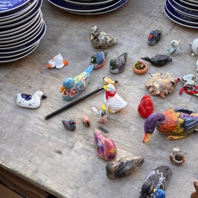 Z9amCFoohX37961's profile picture. 