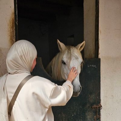 n165788's profile picture. 🇯🇴