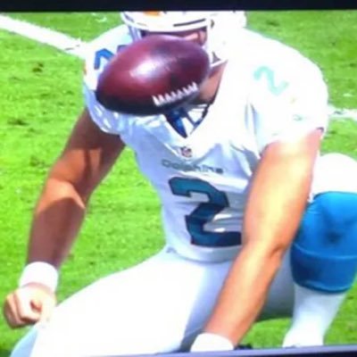 finfuckery's profile picture. 