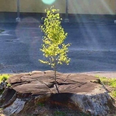 mussasaeed82's profile picture. BCOM-HRM(JKUAT), REALTOR Impossible only means you haven’t gotten the answer yet! Tweets & Retweets not endorsement