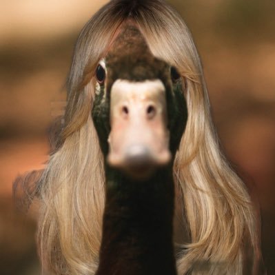 eicsstyles's profile picture. @eicslois | quack