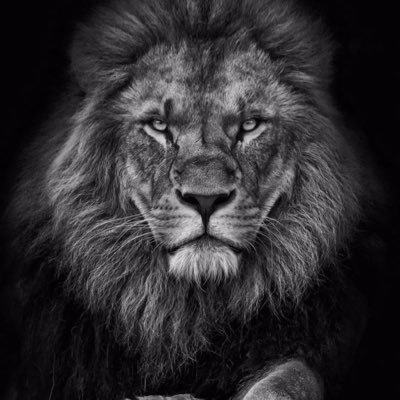 nabeelRikeyn's profile picture. جو بھی ملا سبق دے گیا مہربان زندگی میں ہر شخص استاد نکلا