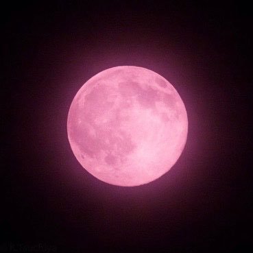 Mairfeels's profile picture. Not everyone's cup of chai