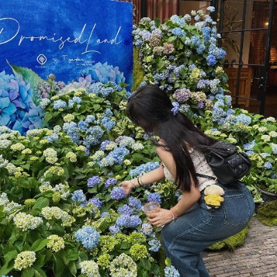 qybglhrea's profile picture. ヨーロッパの空気が私を柔らかくしてくれました。
英瑞仏の旅が今でも宝物。
日本語も少しずつ吸収中。
イーサリアムの未来感が好き。
少し疲れた日でも、思い返すだけで前向きになれる特別な記憶です。